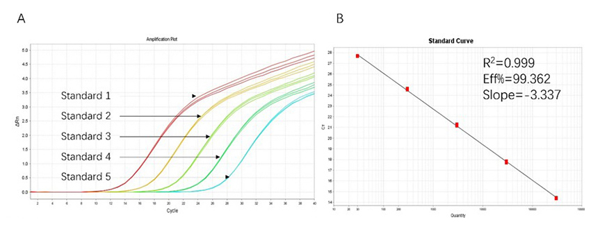 AAV Titration and Anti-AAV Antibody ELISA Kits