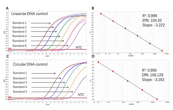 Plasmid DNA Residues Detection