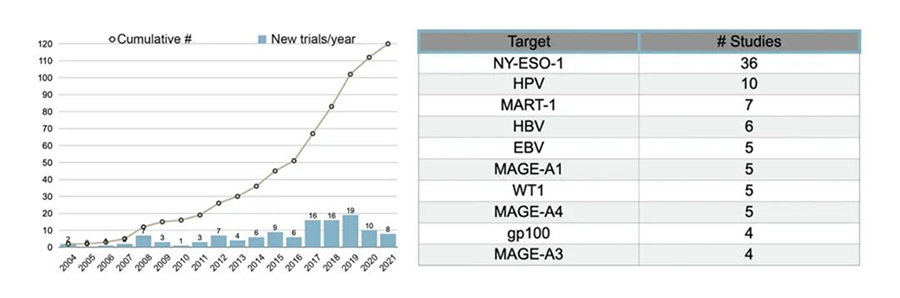 Advancing TCR-T Cell Therapy