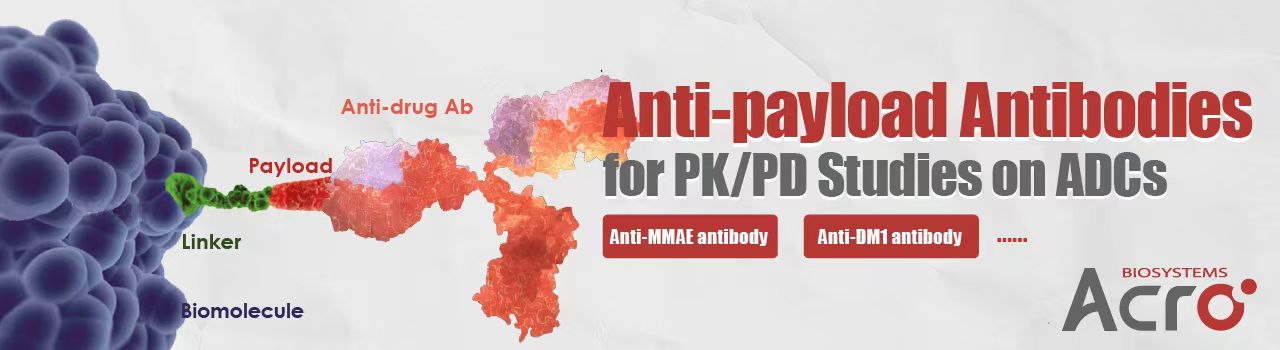 Tools for ADC PK Analysis——Anti-payload antibodies