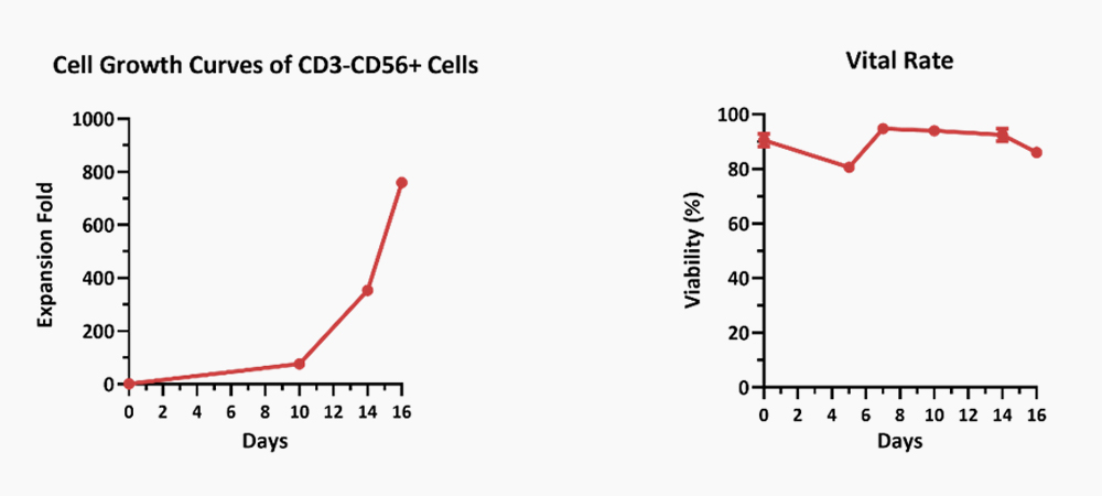 Human PBMCs were cultured with IL-2