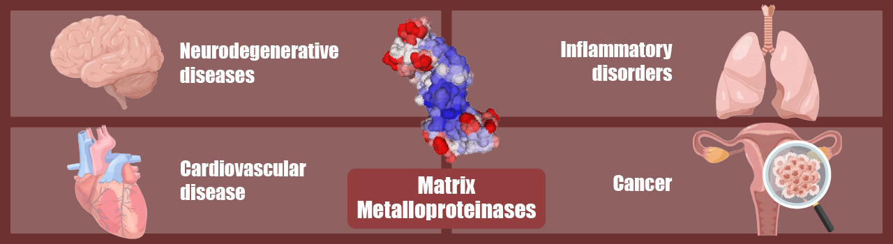 Matrix Metalloproteinases