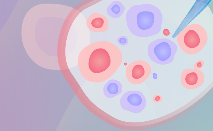 Cytokines for Organoid Culture