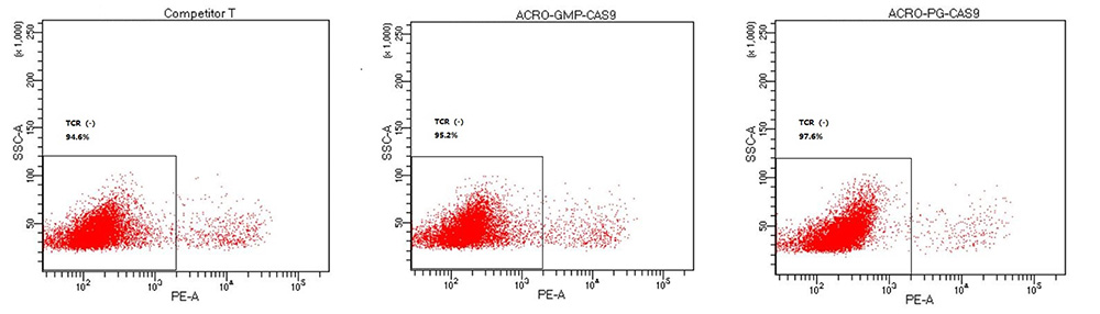 T cell Engineering