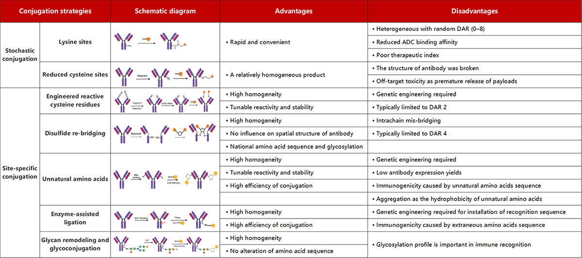 The characteristics of various conjugation methods applied for ADCs