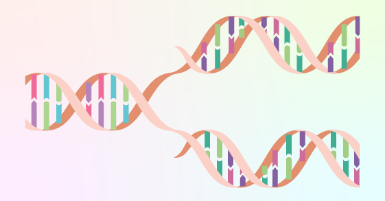 mRNA enzyme