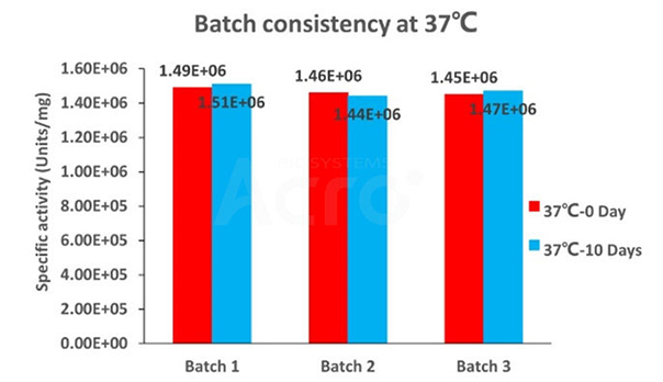 GENIUS™ Nuclease, premium grade