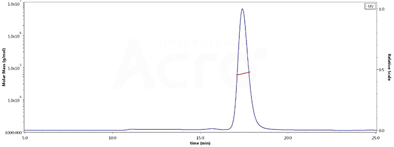 CD27 Ligand, MALS-validated protein