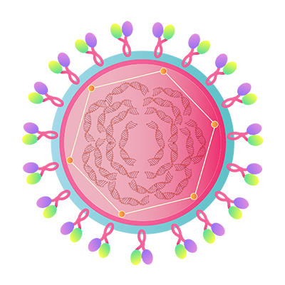 Rotavirus