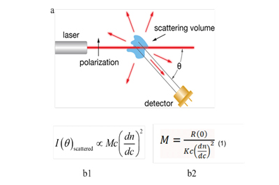 SEC-MALS, detection diagram