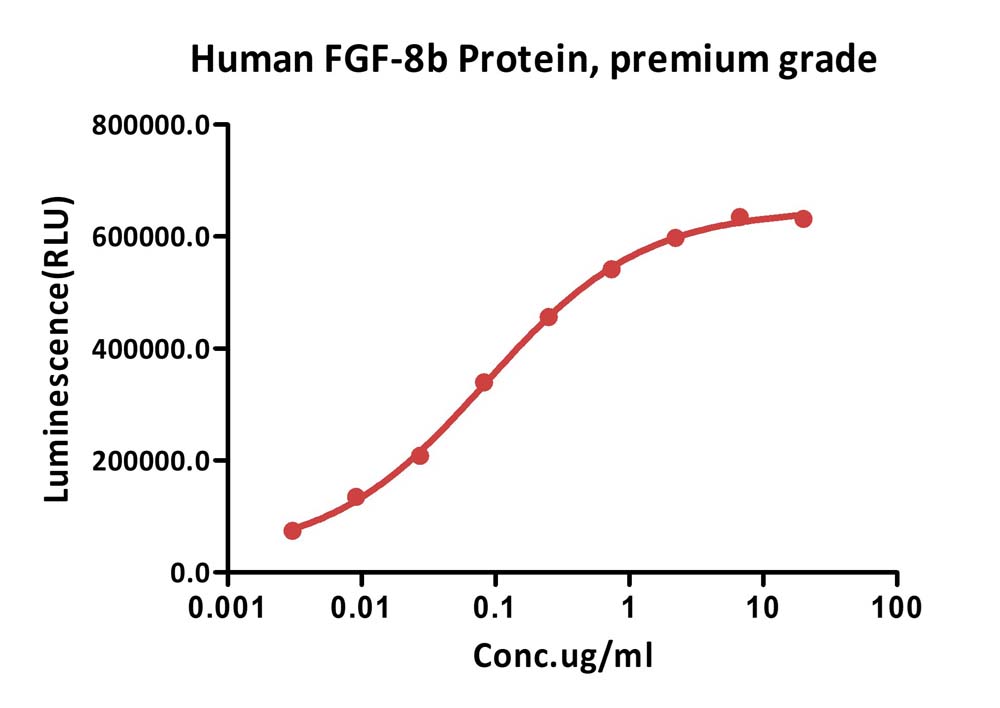  FGF-8b CELL