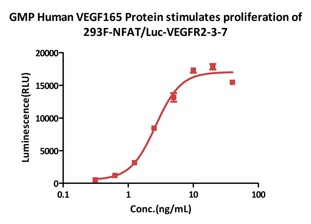  VEGF165 CELL