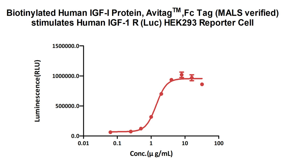  IGF-I CELL