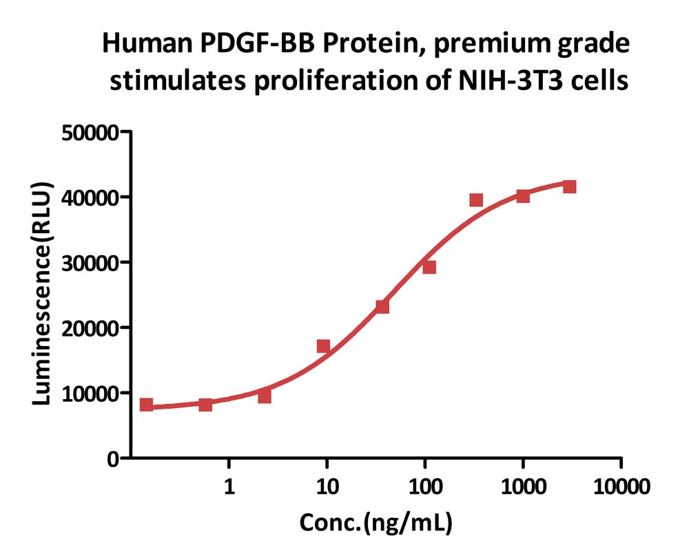  PDGF-BB CELL