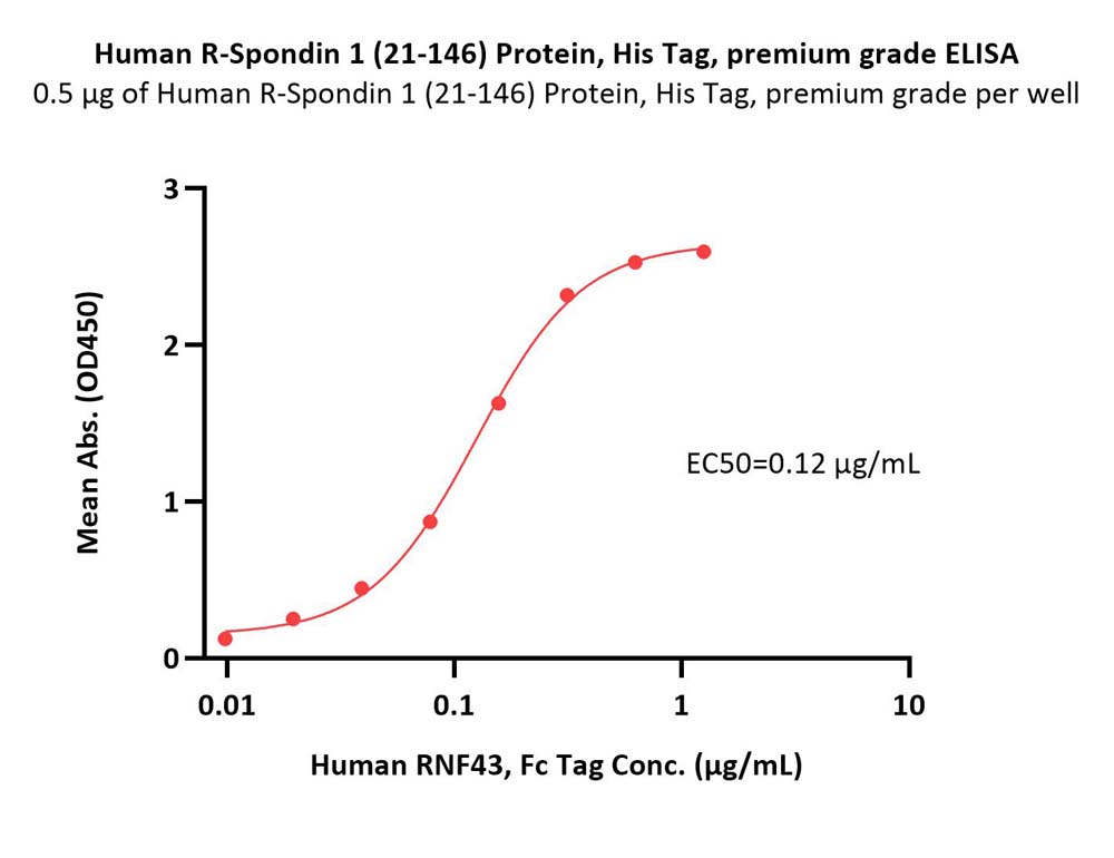  R-Spondin 1 ELISA