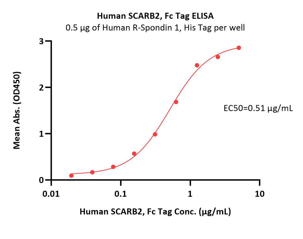  SCARB2 ELISA