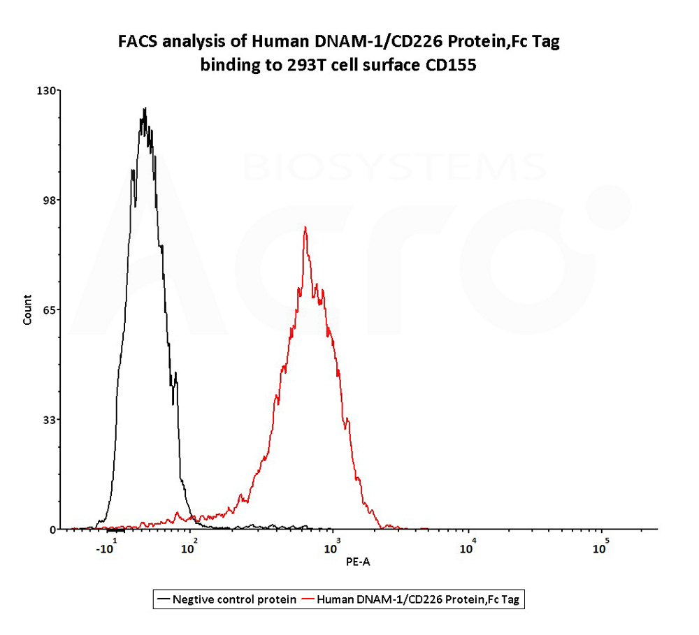  DNAM-1 FACS