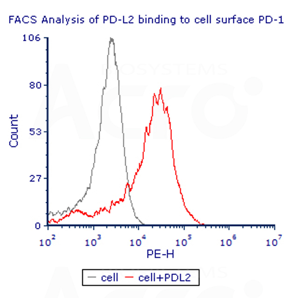  PD-L2 FACS