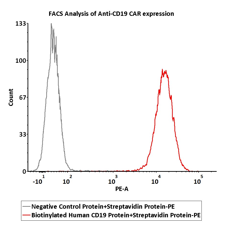  Streptavidin FACS