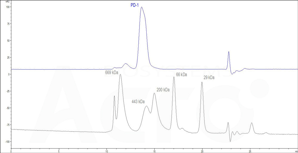 PD1-H5255-hplc