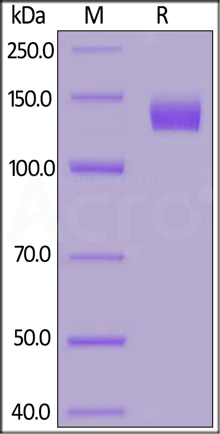 AC2-H5257-sds