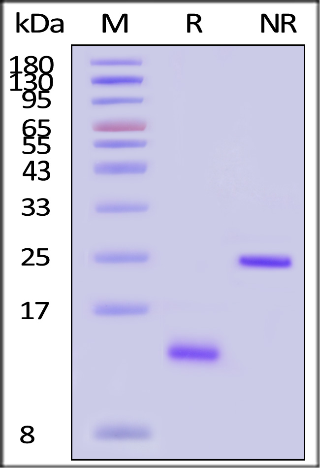 ACA-H5314-sds