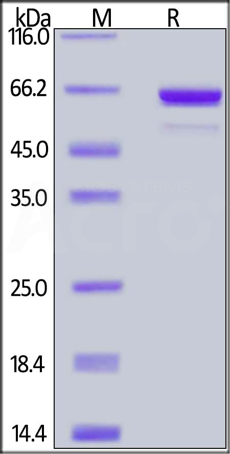 AK1-H5283-sds