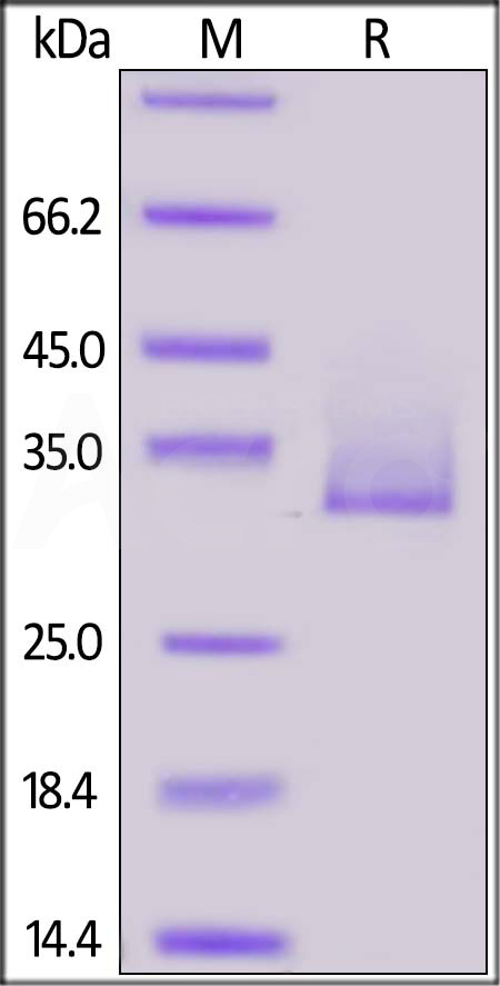 AN3-H82E7-sds