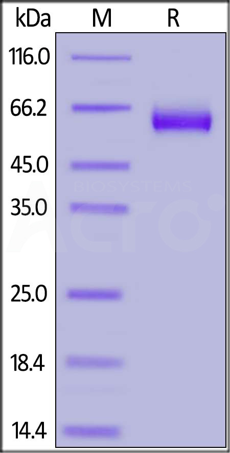 CD7-H82F6-sds