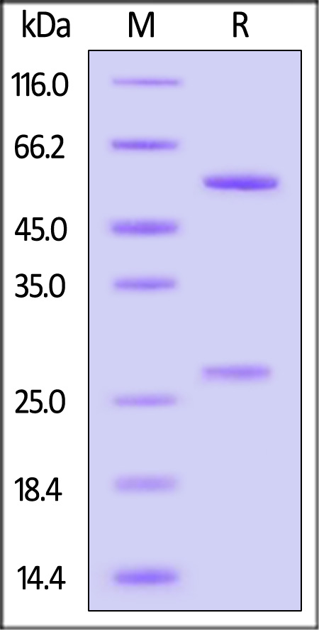 E8L-M573-sds