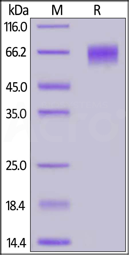 EGI-HF2H7-sds