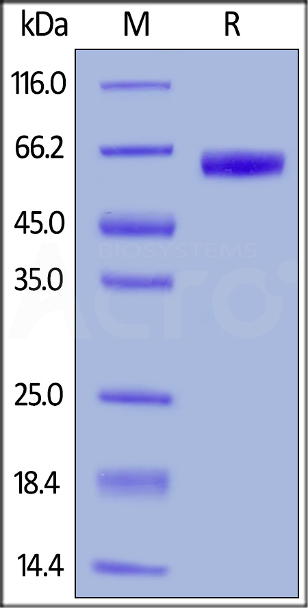 EPM-H5254-sds