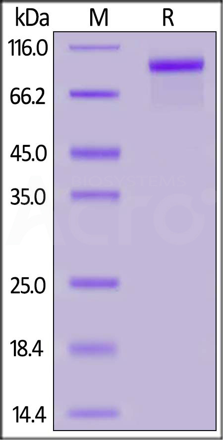 ER3-M52H5-sds