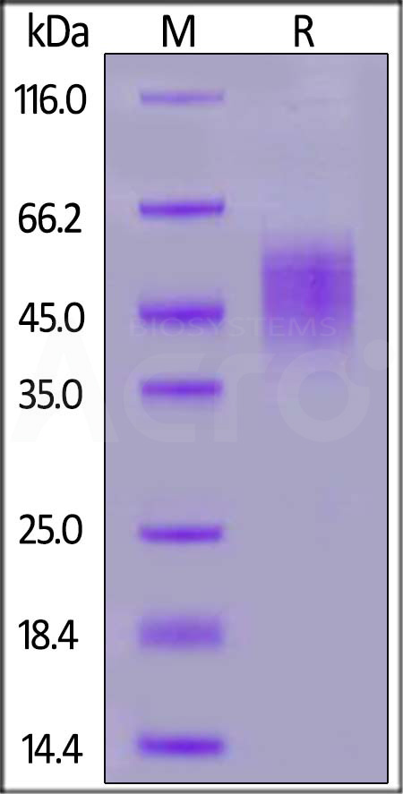 FGB-M52H5-sds