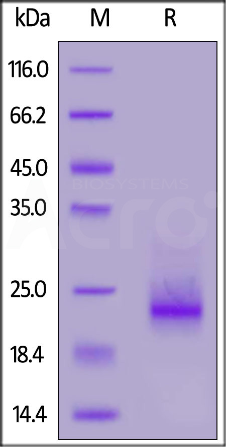 FRD-H52H3-sds