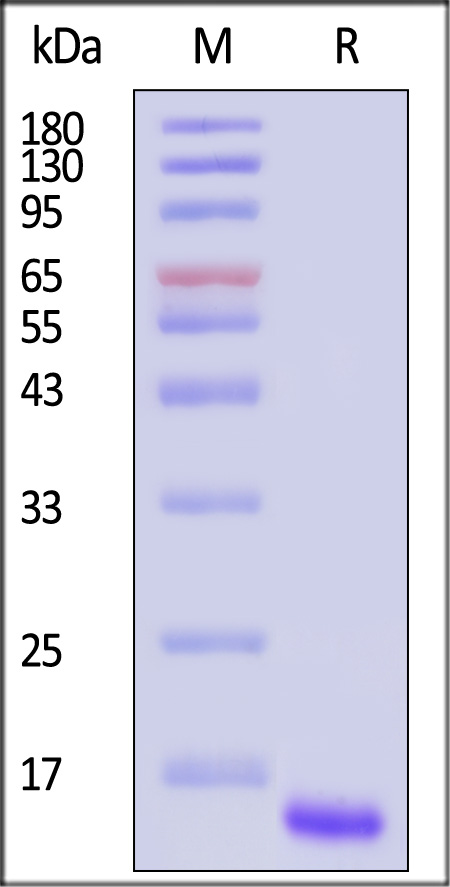 GD5-M5149-sds