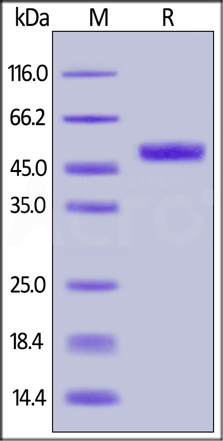 GIR-H82F7-sds