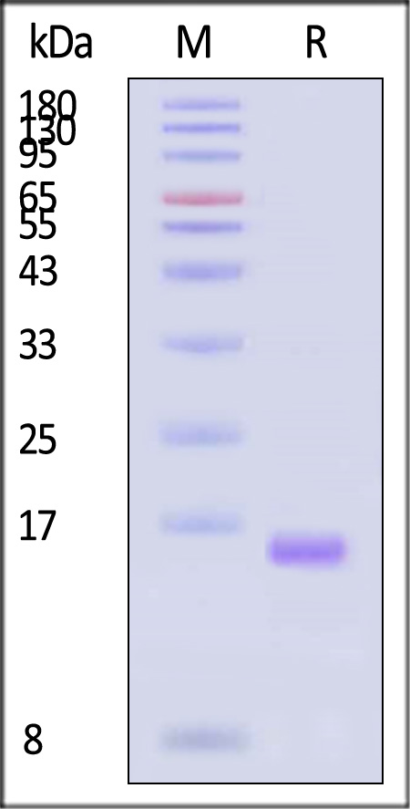 GMP-L02H14-sds