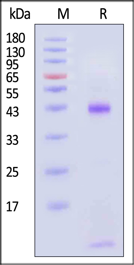 HLM-H82Ef-sds