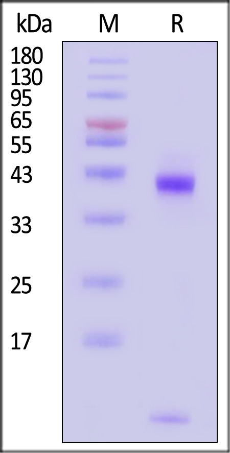 HLP-H82E2-sds