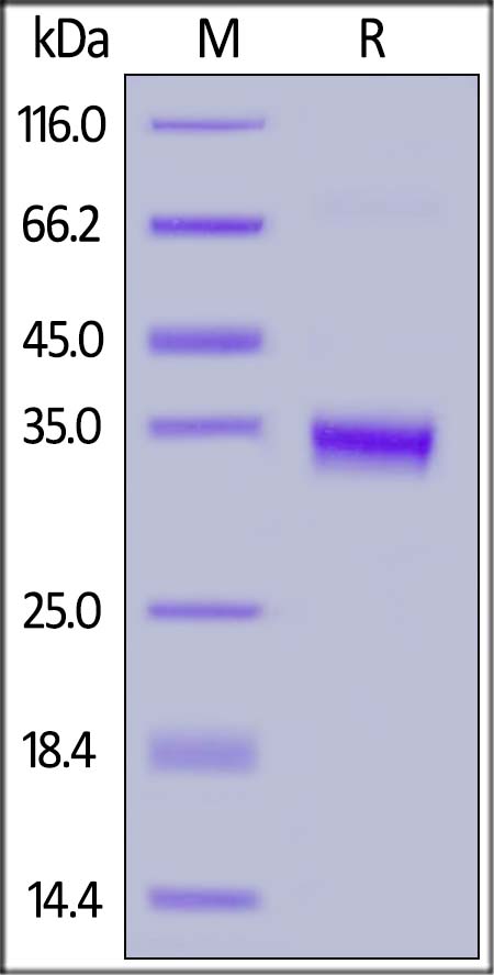 IG1-H82E9-sds