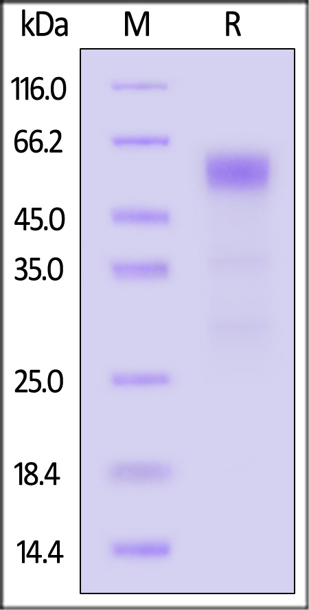 ILA-H8214-sds