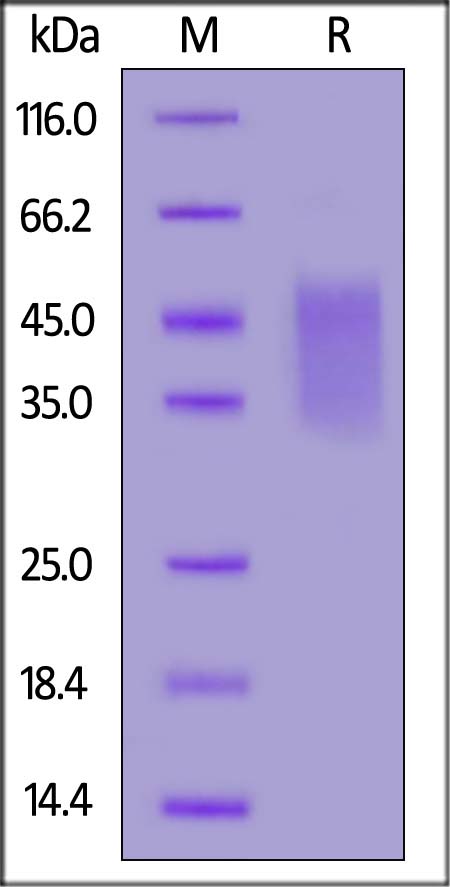 ILP-H82E3-sds