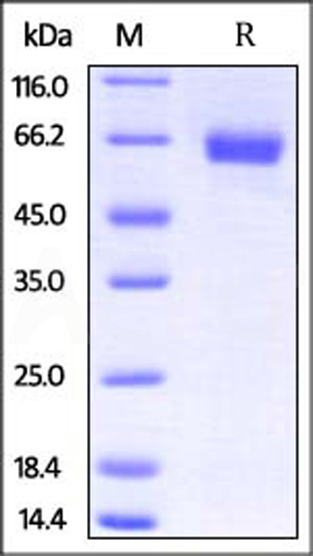 ILR-M5252-sds