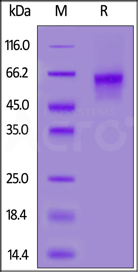 ILR-M82E9-sds