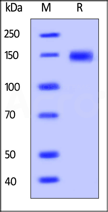 LDR-C5222-sds