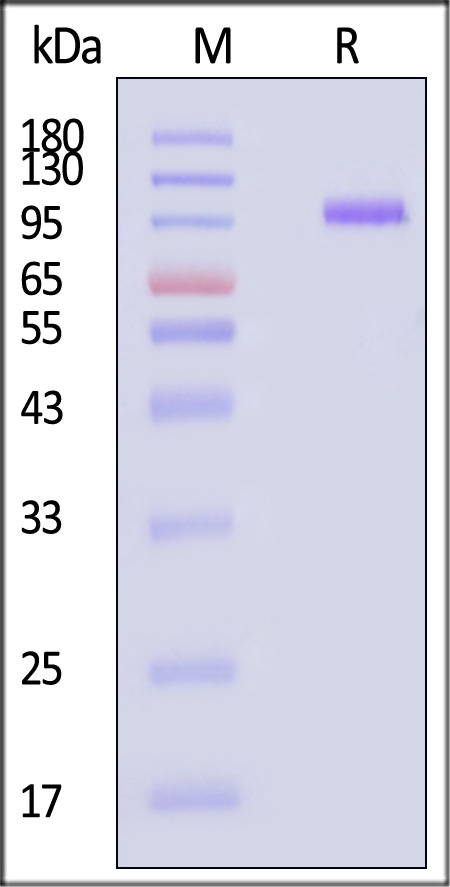 LR5-H82F9-sds