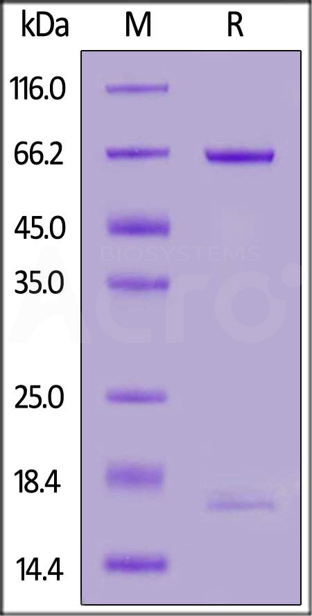 PC9-H82E7-sds