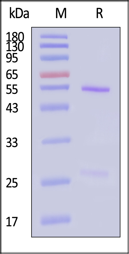 PRN-MY315-sds