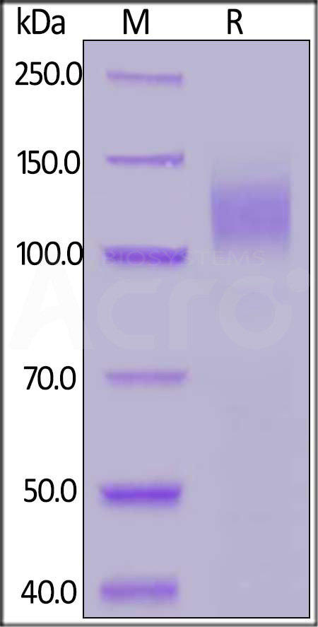 S1N-C82E8-sds